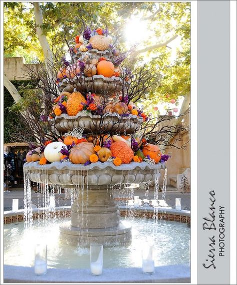 Water and fall harvest - shrine-like... fun! "Decorated fountain at Tlaquepaque for Dia de los Muertos photo shoot." Fall Fountain Decor, Frida Kahlo Inspired Wedding, Frida Kahlo Wedding, Landscape Luxury, Sedona Wedding, Heirloom Wedding, Autumn Flowers, Water Fountains, Water Features In The Garden