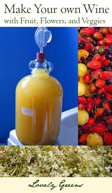 Making Vinegar, Homemade Vinegar, Homemade Wine Recipes, Homemade Alcohol, Making Wine, Homemade Liquor, Make Your Own Wine, Wine Recipe, Fruit Wine