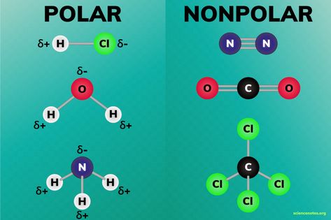 Polar and Nonpolar Molecules Polar And Non Polar Chemistry, Polar And Nonpolar Bonds, Polar Covalent Bonds, Polar Vs Nonpolar Molecules, Polar Molecules, Nomenclature Chemistry, Ionic And Covalent Bonds, Covalent Bonds, Learn Chemistry