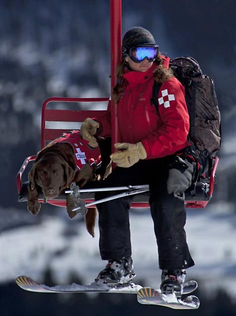 Bridger Bowl Ski Patroller Ellie Thompson and her avalanche dog Chica Dogs With Jobs, Old Skis, Ski Patrol, Ski Culture, Ski Bums, Ski Art, Ski Mountain, Military Dogs, Dog Search