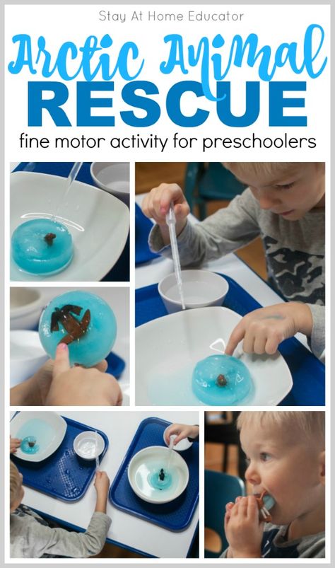 Looking for some science activities for preschoolers? This one fits into your Arctic theme, polar animals theme, or winter themes in preschool. Teach about the states of matter with this science experiment. Work on fine motor skills and emergent writing, too. This arctic theme activity works well at the sensory table, too. Include it in your homeschool preschool activities. Arctic Animal Stem Activities, Arctic Animal Movement Cards Free, Polar Preschool Activities, Antarctica Preschool Activities, Arctic And Antarctic Activities, Preschool Animals In Winter, Activity Preschoolers, Arctic Animals Preschool Activities, Emergent Writing