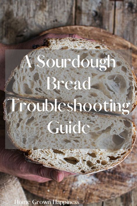 Bread Troubleshooting, Sourdough Crumb, Chocolate Chip Bread Recipe, Instagram Comments, Chocolate Chip Bread, Homemade Sourdough Bread, Pumpkin Chocolate Chip Bread, Bread Starter, Homemade Bread Easy