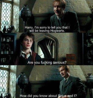 serious? Citate Harry Potter, Glume Harry Potter, Harry Potter Memes Hilarious, Gay Harry Potter, Harry Potter Puns, Images Harry Potter, Harry Potter Ships, Are You Serious, Harry Potter Headcannons