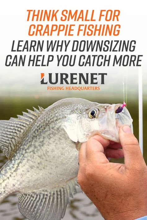 Crappie Fishing Tips, How To Fish, Trout Fishing Tips, Fishing For Beginners, Bass Fishing Tips, Crappie Fishing, Fish Finder, Fishing Techniques, Fishing Knots