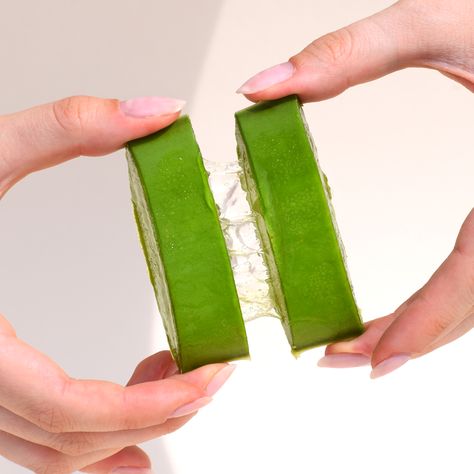 This aloe vera shot was done using natural light, a bone colored backdrop, and model hands. :) Aloe Vera Product Photography, Model Hands, Bone Color, Product Photography, Natural Light, Aloe Vera, Photography, Quick Saves, Color