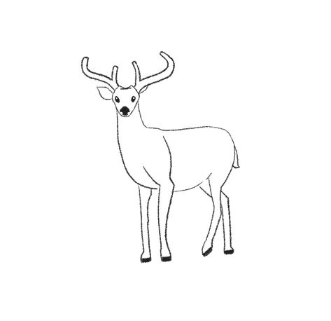 How to Draw a Deer (Easy Step by Step with Pictures) - Jae Johns Easy Dear Drawing, Deer Drawing Easy Step By Step, How To Draw A Deer, Easy Deer Drawing, Drawing A Deer, Deer Drawing Easy, Draw Deer, Draw A Deer, Think Drawing