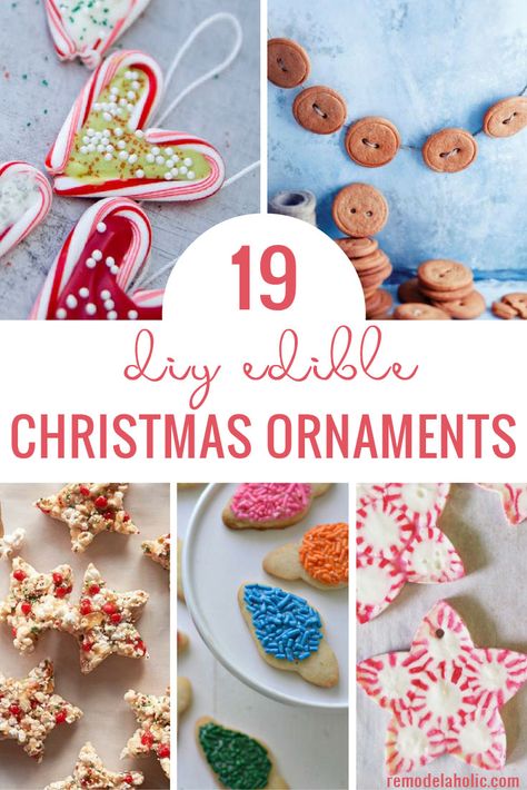 Decorate your tree with something exciting and edible! Why not create one of these 19 DIY Edible Christmas Ornaments for your tree. Ideas featured on Remodelaholic.com Edible Christmas Ornaments, Ornament Tree Display, Pinterest Christmas, Diy Edible, Christmas Crafts For Kids To Make, Ornament Cookies, Food Ornaments, Fun Ornaments, Christmas Projects Diy