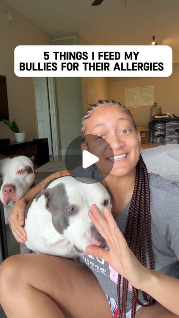 Summit Hound on Instagram: "Share the wealth 💭 . Comment below what you feed your pitbull/bully to keep their allergies under control!  #bully #xlbully #pitbull" Pitbull Skin Problems, Yeast In Dogs Ears, Yeast In Dogs, Pitbull Bully, Pitbull Training, Frosty Paws, Dog Tear Stains, Bridal Hats, Natural Pet Care