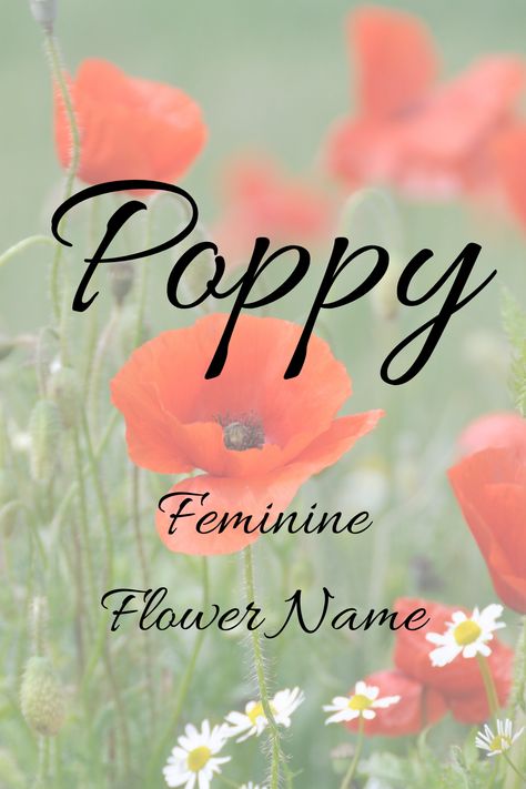 Boy Girl Names, Unique Girl Names, Name Wallpaper, Flower Names, Names With Meaning, Girl Names, Baby Names, Meant To Be, Place Card Holders