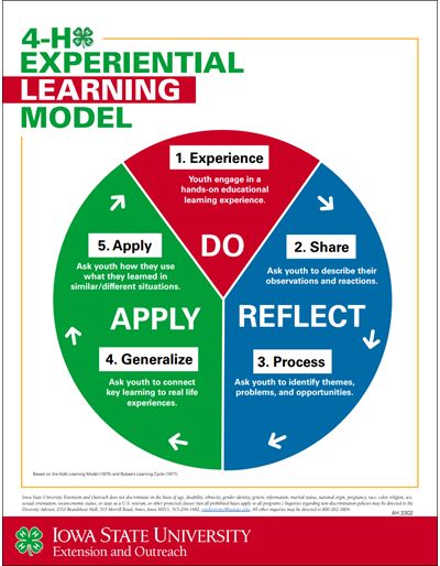 Service Learning Projects High School, High Ability Learners Activities, Instructional Strategies Teaching, Adult Learning Theory, Business Plan Infographic, Artifical Intelligence Activity, Learning Organization, Values Education, Professional Development For Teachers