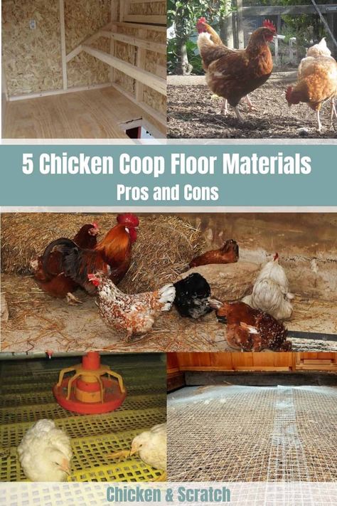 5 Chicken Coop Floor Materials: The Pros & Cons Chicken Coop Floor, Chicken Coop Bedding, Chicken Coop Pallets, Mobile Chicken Coop, Chicken Roost, Clean Chicken, Chicken Pen, Chicken Coup, Chicken Coop Run