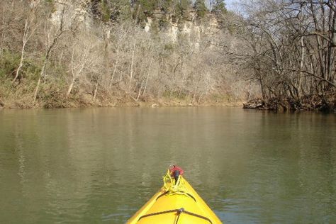 Which Franklin Location Made the "Southern Living" List for Best Waterhole Southern Tennessee, Cummins Falls, Southern Road Trips, Hamilton Pool, Smith Mountain Lake, Natchez Trace, Southern Travel, Linear Park, Swimming Hole