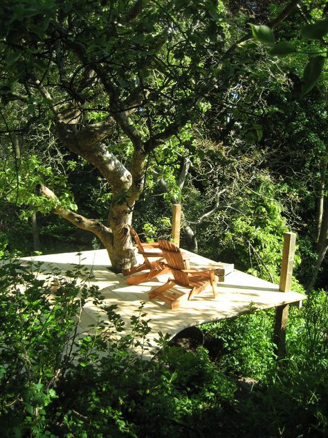 african tree platform in bristol... kibanda Tree Platform Ideas, Tree Deck Platform, Rustic Art Studio, Tree Balcony, Landscape Seating, Tree Platform, Backyard Movie Theaters, Platform Deck, Tree Deck