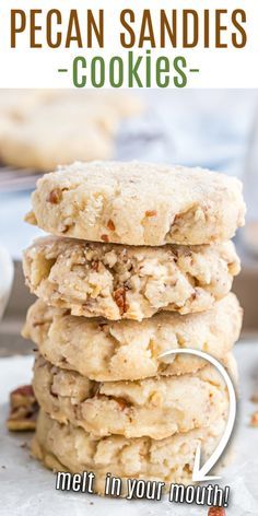 Most Delicious Cookie Recipe Ever, Melt In Your Mouth Pecan Cookies, Homemade Pecan Sandies Recipe, Melted Butter Cookie Recipe, The Best Cookie Recipes Ever, Buttery Butter Pecan Cookies, Pecan Powdered Sugar Cookies, Christmas Pecan Cookies, Butter Pecan Cookies Taste Of Home