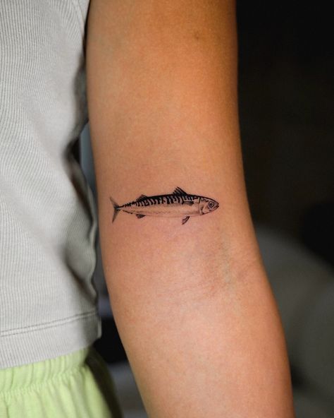 Tiny little Mackerel for Ayala! . . #microrealism #tinytattoos #mackerel #fishtattoo #finelinetattoo #singleneedletattoo Mackerel Tattoo, Trout Tattoo, Mackerel Fish, Single Needle Tattoo, Fish Tattoo, Ship Tattoo, Fine Line Tattoos, August 1, Tattoos Ideas