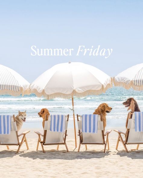 Summer Friday ☀️ #summerfriday #stbarths #nikkibeach #nantucket #brantpoint #sandiego #husky #goldenretriever #labrador #yellowlab #spaniel #hoteldelcoronado #hoteldel #summer #vacation #fineart Summer Friday, Dog Summer, Dog Calendar, Dog Hotel, Nikki Beach, Gray Malin, Hotel Del Coronado, Darling Harbour, Party Wall