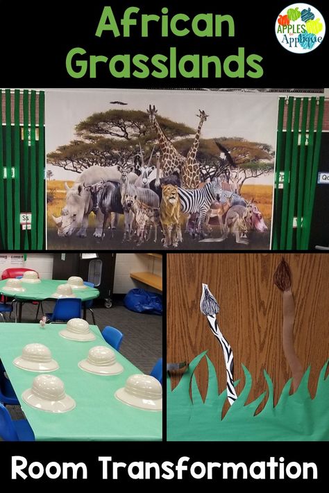 Room transformation complete with lesson plans for reading, writing, math, science, social studies, and STEM! African Grasslands, Lesson Plan Organization, My First Teacher, Safari Room, Science Room, Geography Activities, Teachers Toolbox, Teaching Geography, 1st Grade Science