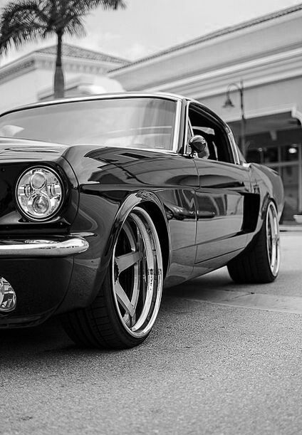 #Mustang #Cars #Photography #Black and white #Classic #Muscle Cars Aventador Lamborghini, Auto Vintage, Auto Poster, Classic Mustang, Ford Classic Cars, Mustang Cars, Ford Mustang Gt, American Muscle Cars