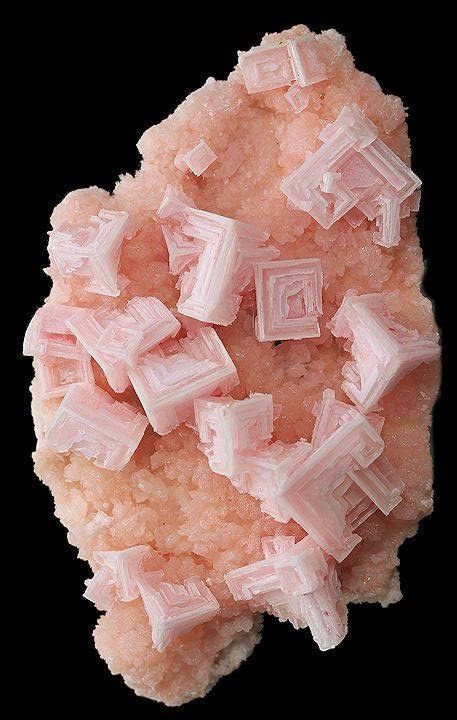 Pink Halite Geologist Aesthetic, Geology Aesthetic, Pink Halite, Pretty Crystals, Minerals Crystals Rocks, Crystal Vibes, Crystal Aesthetic, Rock Minerals, Pretty Rocks