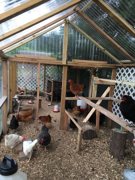 Chicken Permaculture, Chicken Coupe, Reban Ayam, Potager Palettes, Chicken Coop Blueprints, Cute Chicken Coops, Chicken Coop Garden, Chicken Barn, Backyard Chicken Coop Plans