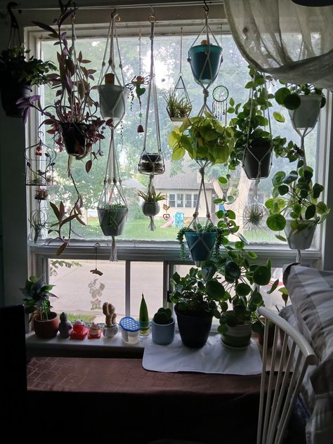 Updated My Window
Of happiness 😃
July 16,2024 Houseplant Styling, Witchy Window, Witchy Kitchen, Window Suncatchers, Window View, Practical Magic, July 16, Kitchen Window, Personal Photo