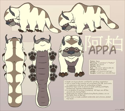 Avatar : Appa Reference Sheet by ~Nylak on deviantART Avatar Appa, Appa Avatar, Avatar Animals, Avatarul Aang, Avatar Tattoo, Avatar Cosplay, The Last Avatar, Avatar The Last Airbender Art, Reference Sheet