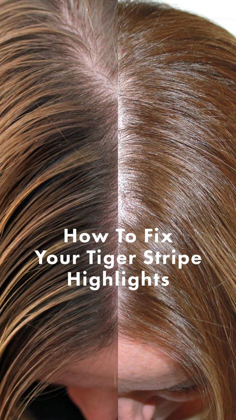 How To Fix Your Tiger Stripe Highlights
Learn how to seamlessly blend heavy tiger stripe Highlights into a stunning, Natural Hair Colour blend. Tiger Stripe Highlights, Bad Highlights, Natural Hair Colour, Foil Highlights, Orange Highlights, Color Plan, Light Ash Blonde, Brown Hair With Highlights, Clip In Extensions