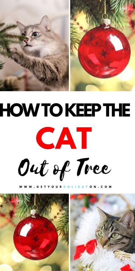 Dollar Tree Cat Ideas, Cat Proof Christmas Tree, Crismas Tree, Cat Deterrent Spray, Cat Deterrent, Cat Repellant, Cat Proofing, Diy Cat Toys, Cat Christmas Tree