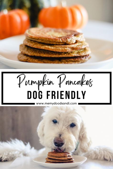 Dog friendly pumpkin pancake recipe #dogs #pumpkin #pancakes #pumpkinrecipe #dogfriendly #dogfood #doglovers #dogtips Pumpkin Pancakes For Dogs, Pancakes For Dogs Recipe, Doggie Pancakes, Dog Pancakes Recipes, Puppy Pancakes, Dog Pancakes, Pancakes For Dogs, Pup Treats, Yummy Pancakes