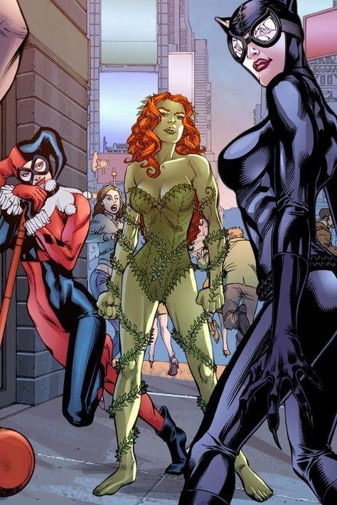 The Gotham City Sirens Gotham City Sirens, Catwoman Cosplay, Female Villains, Gotham Girls, Batman And Catwoman, Dc Villains, Arte Dc Comics, Harley Quinn Art, Batman Robin