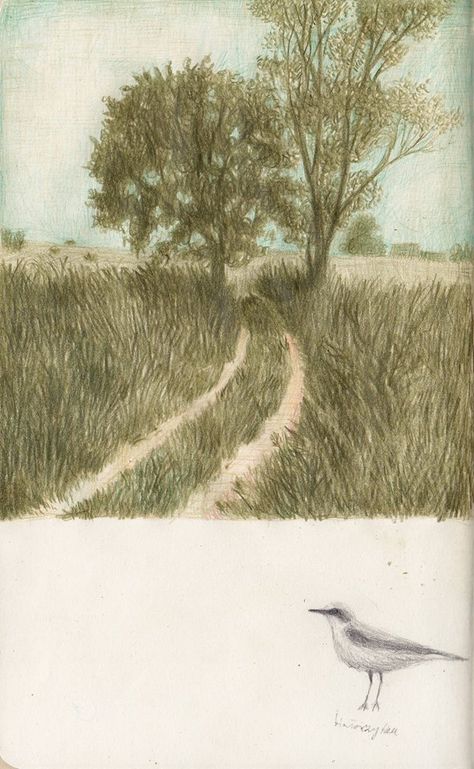 Joanna Concejo / Illustration Landscape Drawings, Landscape Illustration, Color Pencil Art, Beautiful Drawings, Pencil Illustration, Teaching Art, Pencil Drawing, Art Sketchbook, A Tree