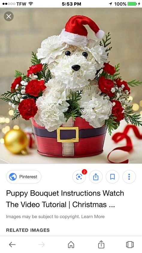 Carnation Puppy, Animal Flower Arrangements, Flower Animals, Dog Flowers, Small Flower Arrangements, Rose Flower Arrangements, Large Flower Arrangements, Flower Arrangement Designs, Christmas Flower Arrangements