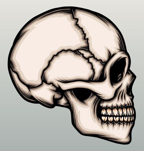 Side of human skull head. | Premium Vector #Freepik #vector #skull #face #sketch #profile Skeleton Side Profile Drawing, Side Profile Skull Tattoo, Side Profile Of Skull, Skull Profile Drawing, Side Skull Drawing, Skeleton Head Sketch, Skull Side Profile Drawing, Skeleton Side Profile, Skull Side Profile