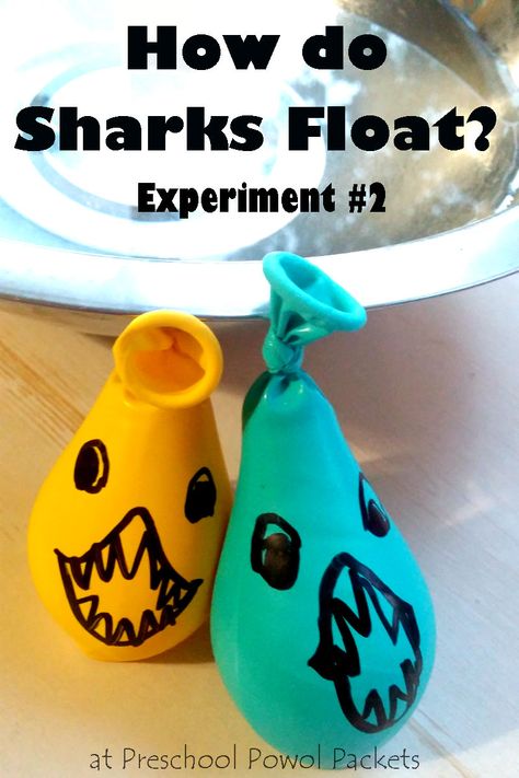 Science Kindergarten, Vetenskapliga Experiment, Experiment Science, Shark Activities, Ocean Theme Preschool, Shark Craft, Cool Experiments, Science Week, Ocean Unit