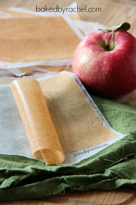 Apple Cinnamon Fruit Leather Apple Fruit Leather Recipe Oven, Apple Leather Recipe, Fruit Leather Recipe Oven, Fruit Leather Recipe, Fruit Leather, Dehydrated Fruit, Green Fruit, Easiest Apples, Homemade Apple