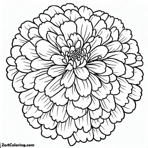 Marigold Flower 2 Coloring Page Marigold Outline, Marigold Flower Drawing, Marigold Drawing, Fabric Paint Shirt, Paint Shirt, Cake Drawing, Wood Burn Designs, Bee Illustration, Flowers Coloring