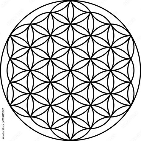 Flower of life vector isolated on white background. Sacred geometry symbol concept. Stock Vector Life Flower, The Flower Of Life, Sacred Geometry Symbols, Adobe Portfolio, Flower Of Life, Sacred Geometry, Photo Illustration, Adobe Stock, Free Images