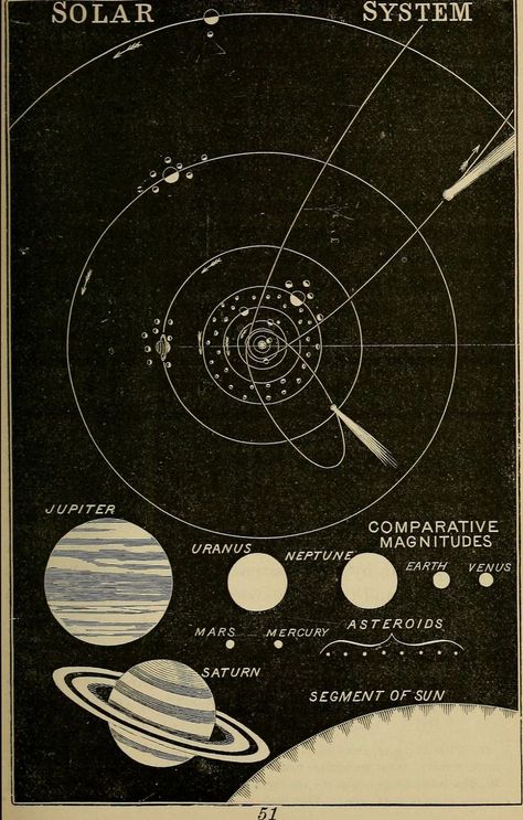 Vintage Astronomy Prints, متحف فني, Botanisk Illustration, Sistem Solar, Istoria Artei, Astronomy Art, Seni Vintage, Sarung Telefon, Branding Inspo