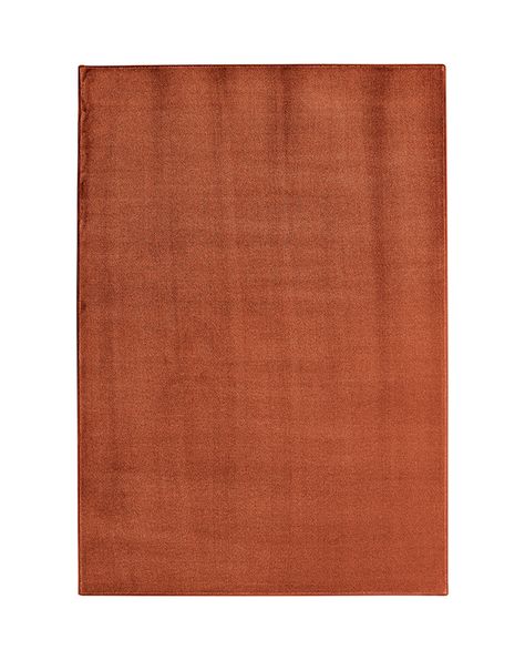 Terracotta Carpet, Rug Inspiration, Vinegar And Water, Rug Texture, Bamboo Silk, Pet Life, Soft Bristle Brush, Natural Silk, Colored Leather