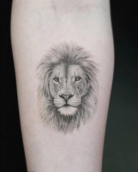 Lion Portrait Tattoo, Lion Portrait, Tattoo Portrait, Inner Forearm, Lion Tattoo, Tattoo On, Portrait Tattoo, Lion, Tattoos