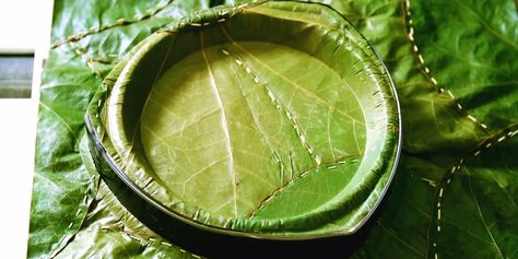 Plates made out of leaves, no plastic, no glue, just leaves! 100% biodegradable! :) Recycling Containers, Disposable Plates, Plastic Items, Food Packaging Design, Sustainable Packaging, Disposable Tableware, Plate Design, Nature Crafts, Banana Leaf