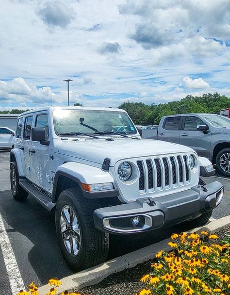 Conquer any road with this 2019 Jeep Wrangler Unlimited Sahara 4X4! 💪

#HealeyBrothers #HudsonValley #HVNY #Jeep #JeepWrangler 2019 Jeep Wrangler, Chevrolet Dealership, Wrangler Unlimited Sahara, 2025 Year, Used Jeep, Jeep Wrangler Unlimited Sahara, New Hampton, Hudson Valley Ny, Chrysler Dodge Jeep