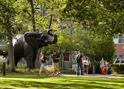 Tufts University Aesthetic, Manifesting Future, Future Manifestation, College Core, Tufts University, Law School Inspiration, Summer Science, Life Vision, Summer Program