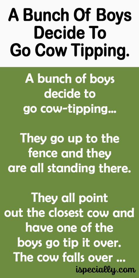 A Bunch Of Boys Decide To Go Cow Tipping. – Funny Cow Pictures, Cow Tipping, Quotes For Boys, Cow Quotes, Show Cows, Funny Cow, Cow Pictures, Fish For Sale, Cows Funny