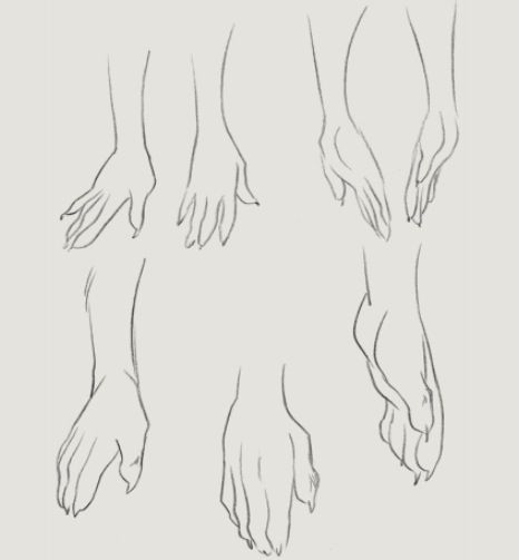 Covered Range, Body Tutorials, Manga Tips, Reference Tutorial, Fursona Ideas, Hands Reference, Hands Tutorial, Unique Creatures, Traditional Drawing