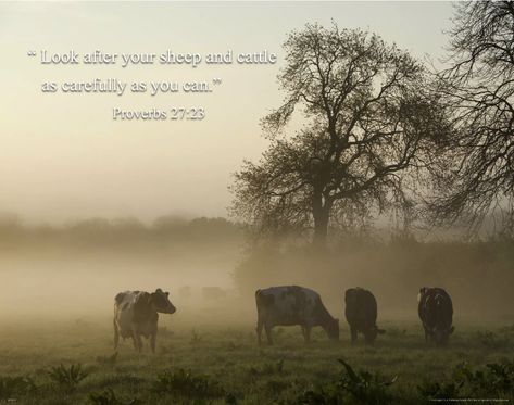 Cow Bible Verse, Cow Quotes Country Living, Cows Quotes, Drawing Bible, Seasonal Quotes, Cow Quotes, Brian Scott, Military Motivation, Abide In Christ