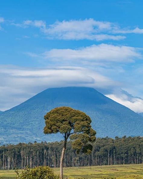 Mountain Gorillas, Mountain Gorilla, Volcano National Park, Crater Lake, Pretty Landscapes, Green Nature, 5 Hours, Mount Rainier, Volcano