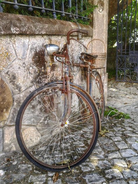 Old bicycle | by TevesCosta Bicycle Pictures, Bicycle Photography, Rust Never Sleeps, Bicycle Chains, Old Bicycle, Flower Window, Indian Photoshoot, Bicycle Art, Old Bikes