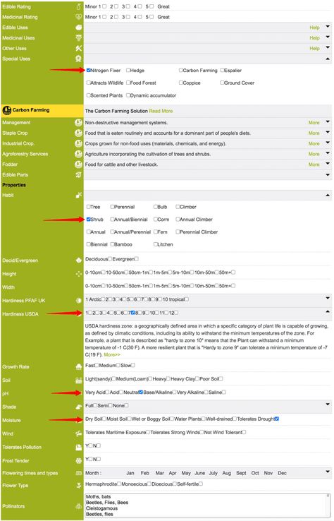 How to Create a Food Forest Plant List Using a Permaculture Plant Database - Permaculture Apprentice Geoff Lawton, Food Forest Garden, Autumn Olive, Nitrogen Fixation, Types Of Shrubs, Native Foods, Tropical Food, Forest Light, Forest Plants