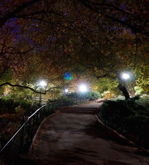 A Walk in the Dark in Central Park - New York Cliché Central Park At Night, New York Facts, Park At Night, Urban Heat Island, New York City Aesthetic, Moon Palace, Nyc Park, New York Central, Urban Park